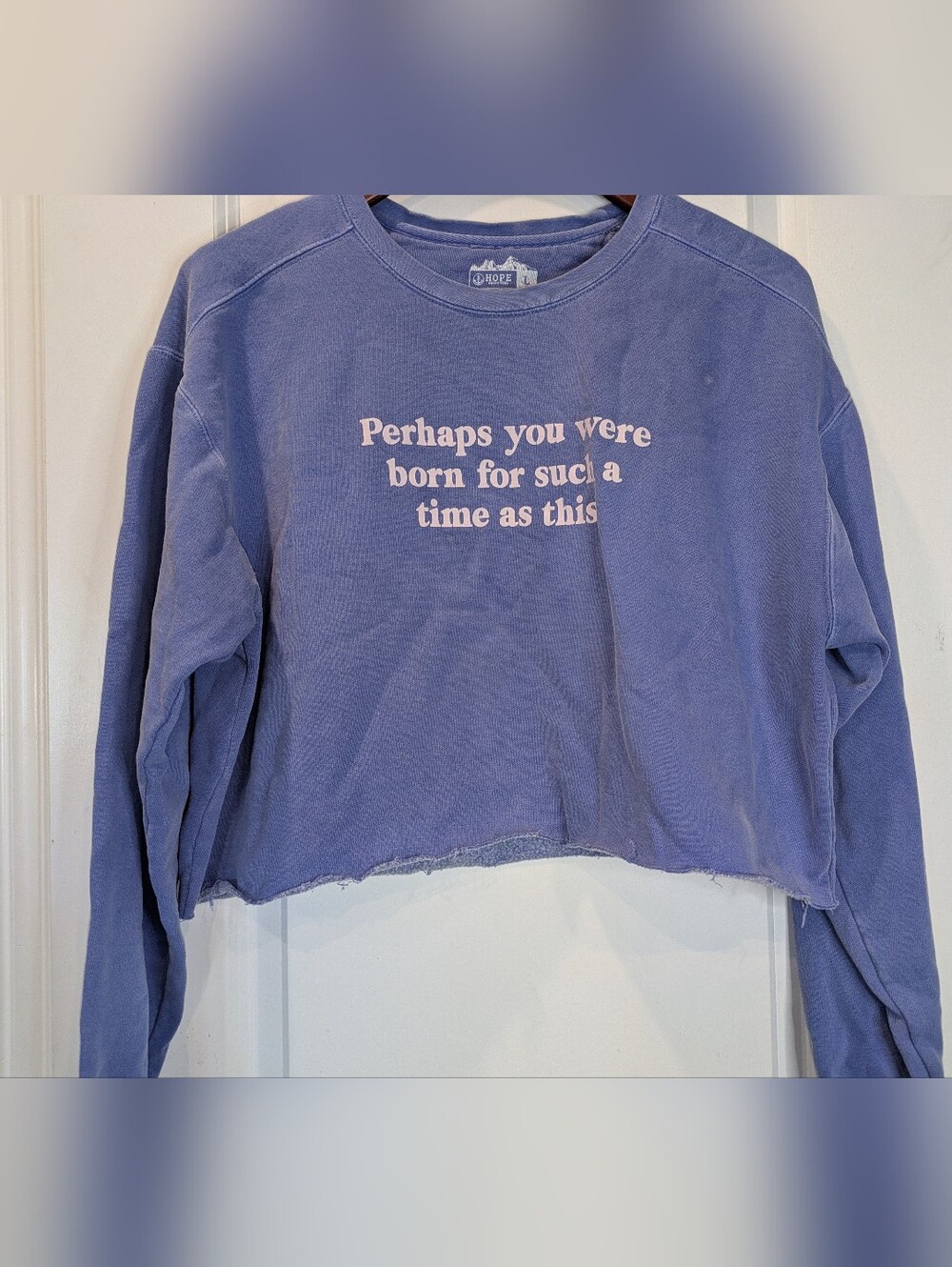 Hope Outfitters Cropped Graphic Sweatshirt Large Purple Raw Hem Christian Quote